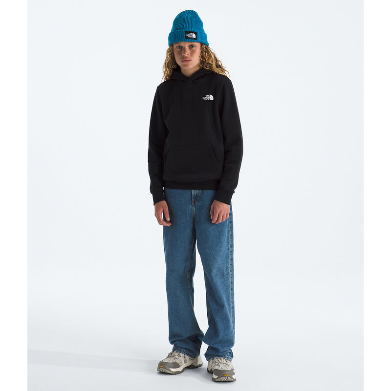 Teen Evolution Box NSE Pullover Hoodie, TNF BLACK, hi-res image number 3