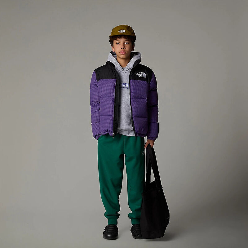 Teen 1996 Retro Nuptse Jacket, PEAK PURPLE-RIPSTOP, hi-res image number 2