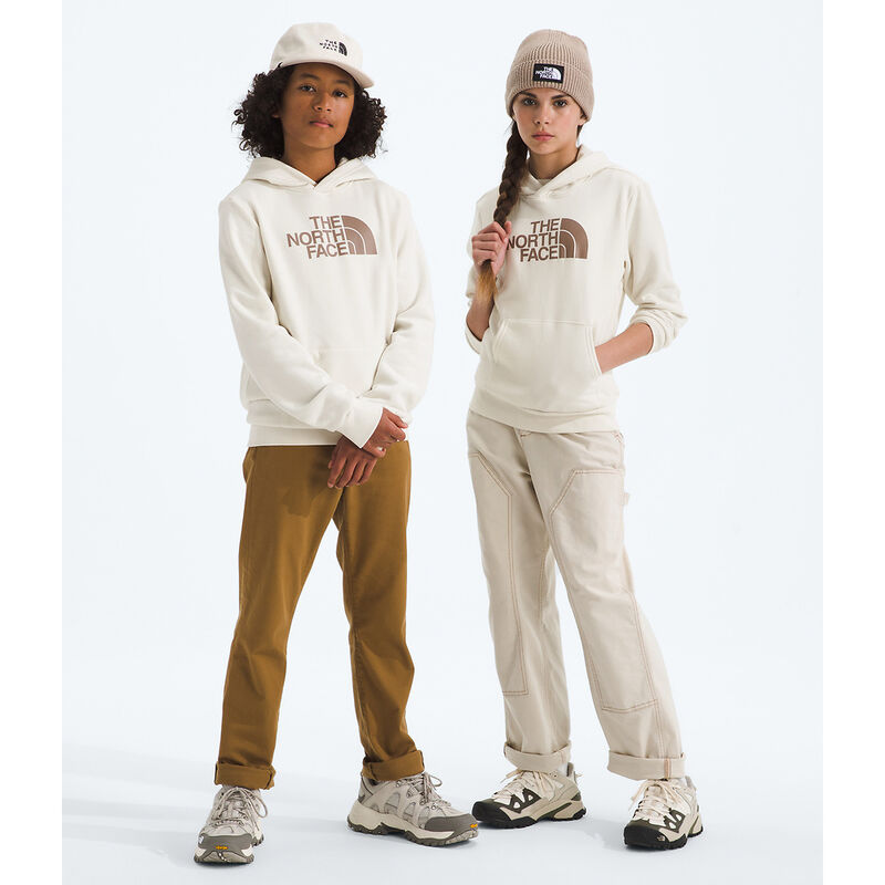 Teen Evolution Half Dome Pullover Hoodie