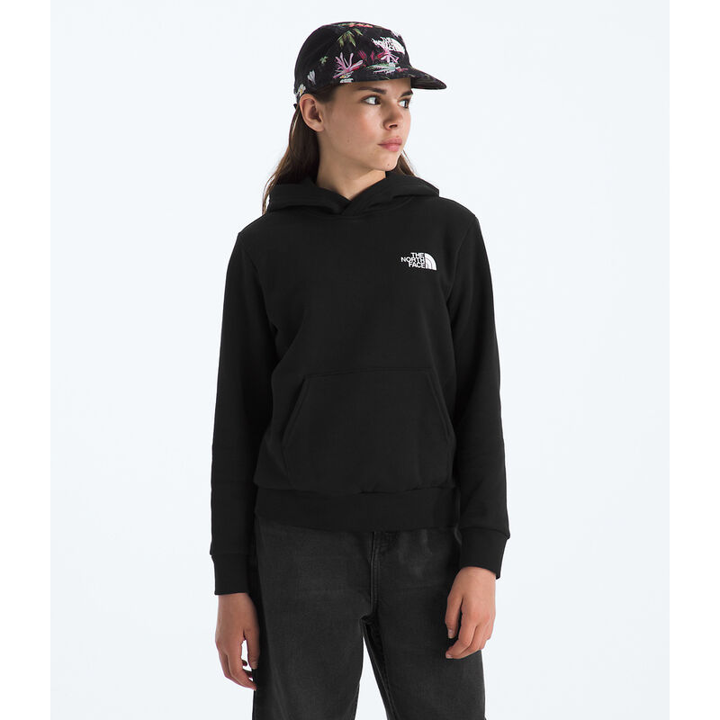 Teen Evolution Box NSE Pullover Hoodie, TNF BLACK, hi-res image number 4