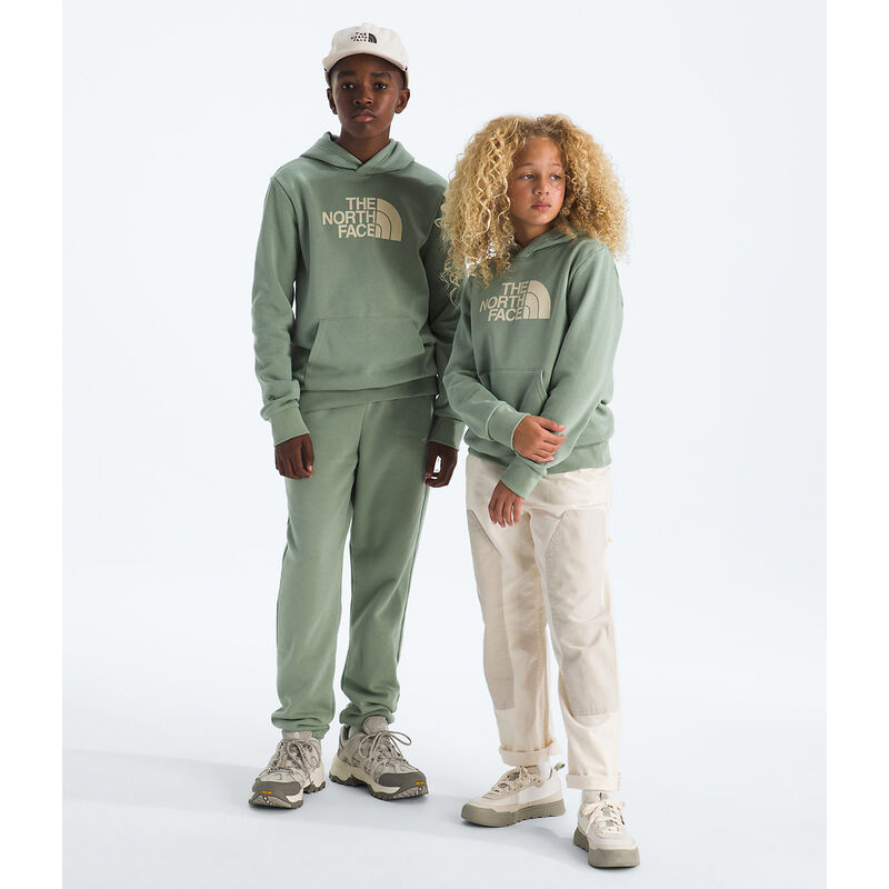 Teen Evolution Half Dome Pullover Hoodie