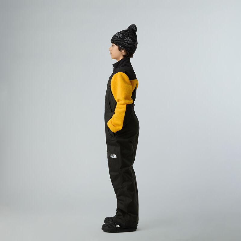 Teen Freedom Insulated Bib, TNF BLACK, hi-res image number 3