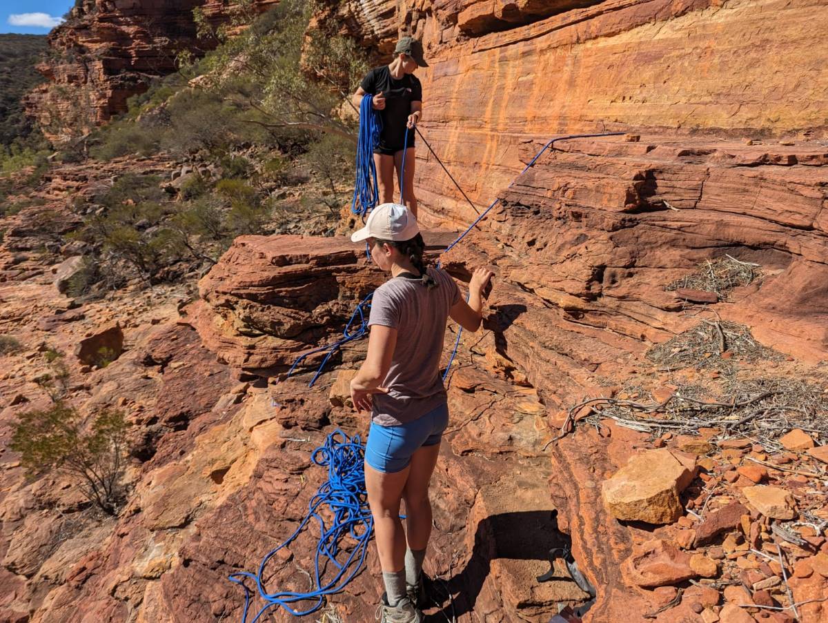 Vertical Dance on the Murchison River 